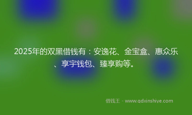 2025年的双黑借钱有：安逸花、金宝盒、惠众乐、享宇钱包、臻享购等。
