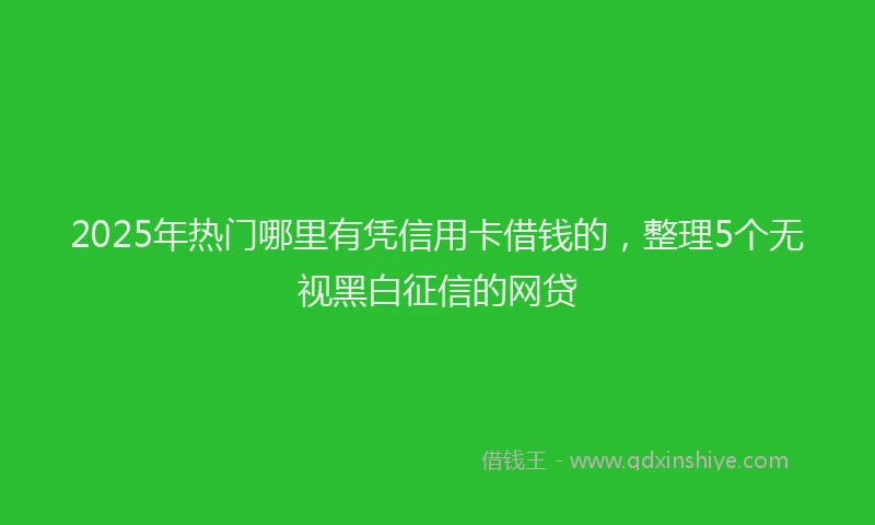 2025年热门哪里有凭信用卡借钱的，整理5个无视黑白征信的网贷