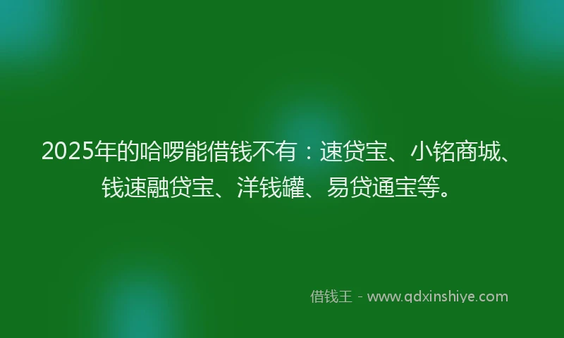 2025年的哈啰能借钱不有：速贷宝、小铭商城、钱速融贷宝、洋钱罐、易贷通宝等。
