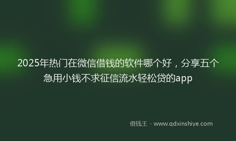2025年热门在微信借钱的软件哪个好，分享五个急用小钱不求征信流水轻松贷的app
