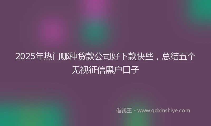 2025年热门哪种贷款公司好下款快些，总结五个无视征信黑户口子
