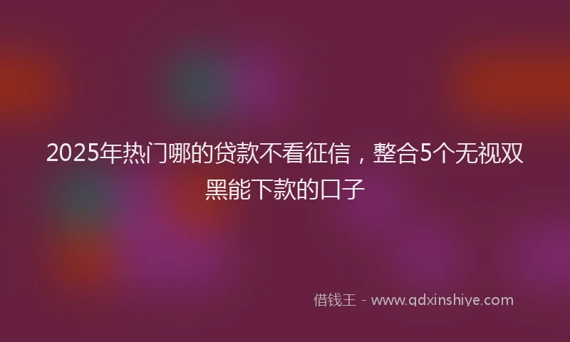 2025年热门哪的贷款不看征信，整合5个无视双黑能下款的口子