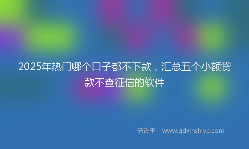 2025年热门哪个口子都不下款，汇总五个小额贷款不查征信的软件