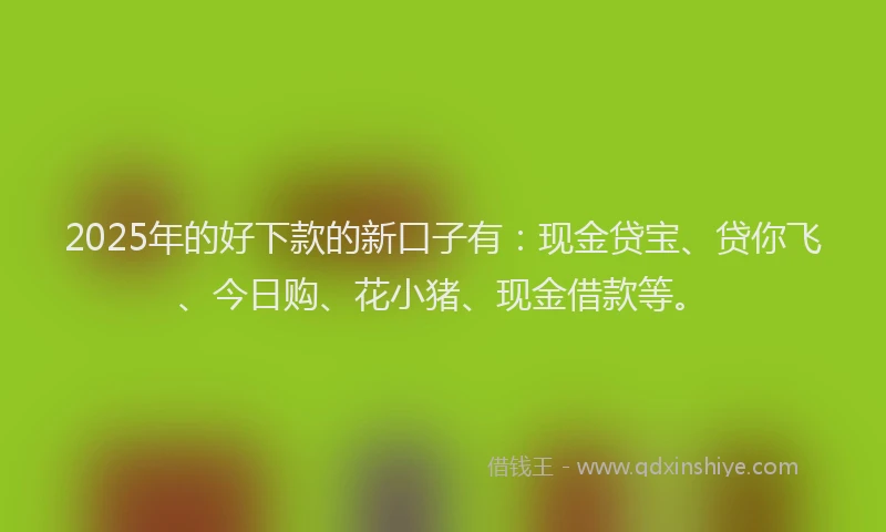 2025年的好下款的新口子有：现金贷宝、贷你飞、今日购、花小猪、现金借款等。