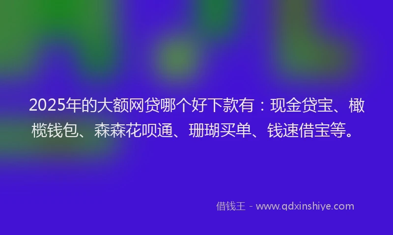 2025年的大额网贷哪个好下款有：现金贷宝、橄榄钱包、森森花呗通、珊瑚买单、钱速借宝等。