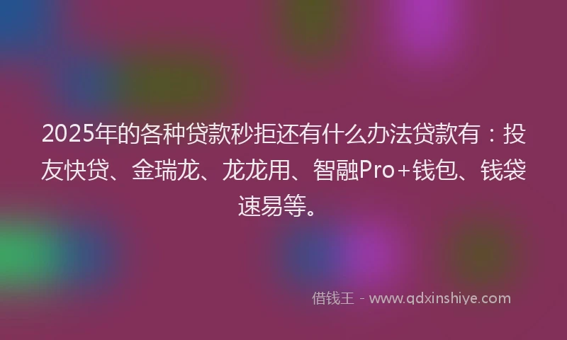 2025年的各种贷款秒拒还有什么办法贷款有：投友快贷、金瑞龙、龙龙用、智融Pro+钱包、钱袋速易等。