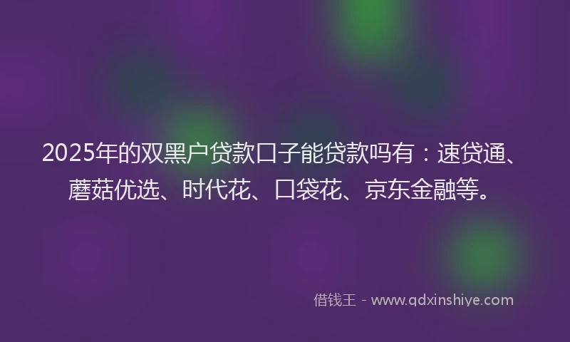 2025年的双黑户贷款口子能贷款吗有：速贷通、蘑菇优选、时代花、口袋花、京东金融等。