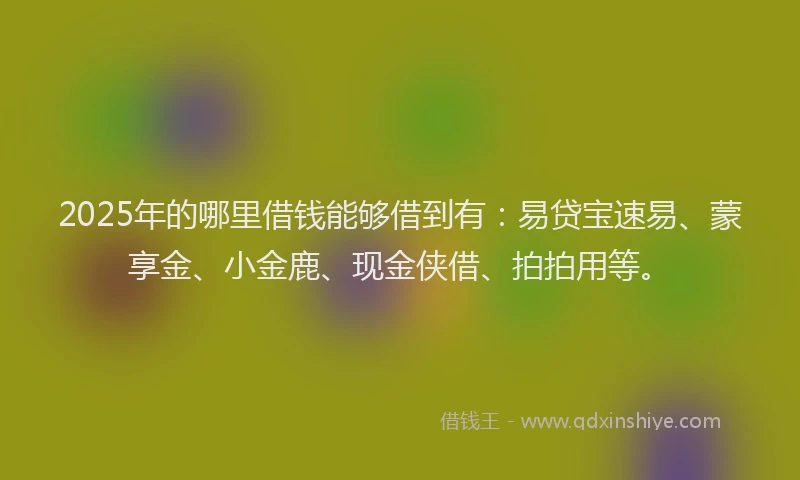 2025年的哪里借钱能够借到有：易贷宝速易、蒙享金、小金鹿、现金侠借、拍拍用等。