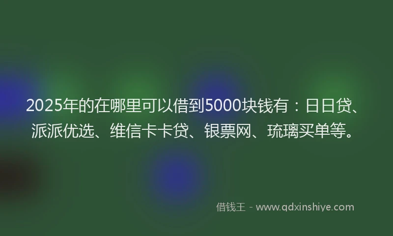 2025年的在哪里可以借到5000块钱有：日日贷、派派优选、维信卡卡贷、银票网、琉璃买单等。