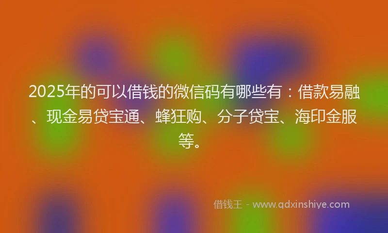 2025年的可以借钱的微信码有哪些有：借款易融、现金易贷宝通、蜂狂购、分子贷宝、海印金服等。