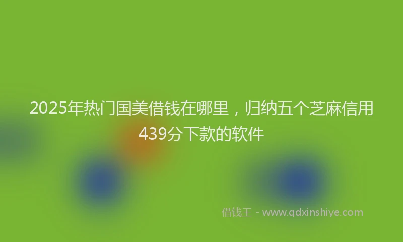 2025年热门国美借钱在哪里，归纳五个芝麻信用439分下款的软件