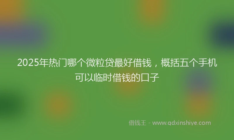 2025年热门哪个微粒贷最好借钱，概括五个手机可以临时借钱的口子