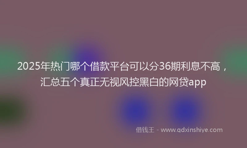 2025年热门哪个借款平台可以分36期利息不高，汇总五个真正无视风控黑白的网贷app