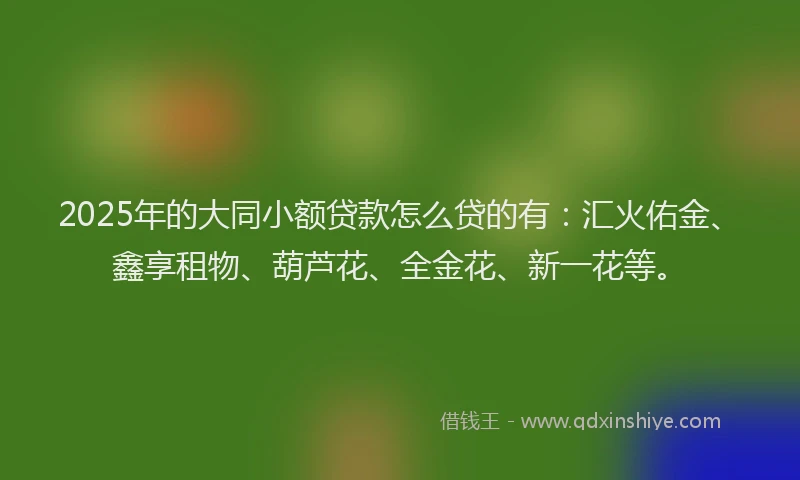 2025年的大同小额贷款怎么贷的有：汇火佑金、鑫享租物、葫芦花、全金花、新一花等。