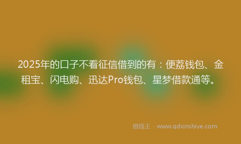 2025年的口子不看征信借到的有：便荔钱包、金租宝、闪电购、迅达Pro钱包、星梦借款通等。