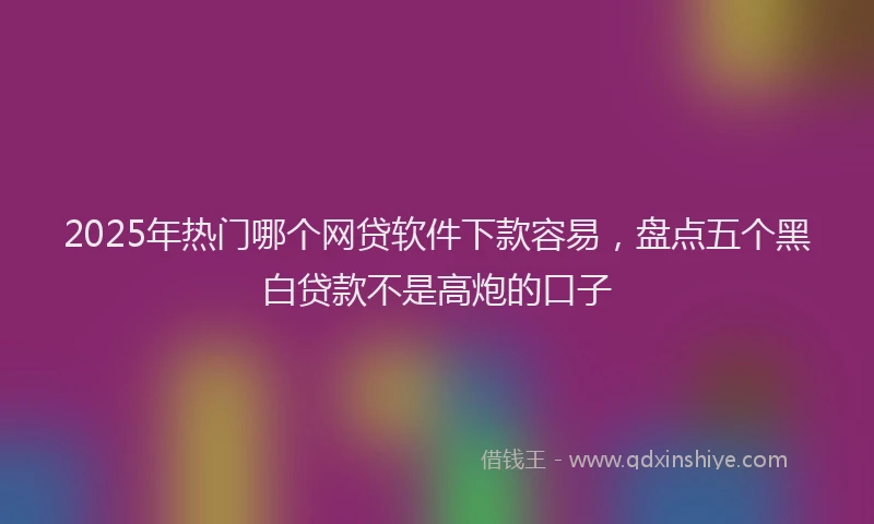 2025年热门哪个网贷软件下款容易，盘点五个黑白贷款不是高炮的口子