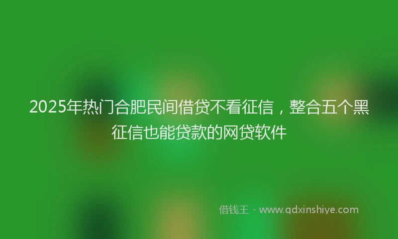 2025年热门合肥民间借贷不看征信，整合五个黑征信也能贷款的网贷软件