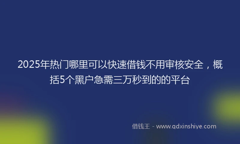 2025年热门哪里可以快速借钱不用审核安全，概括5个黑户急需三万秒到的的平台
