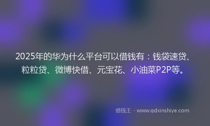 2025年的华为什么平台可以借钱有：钱袋速贷、粒粒贷、微博快借、元宝花、小油菜P2P等。