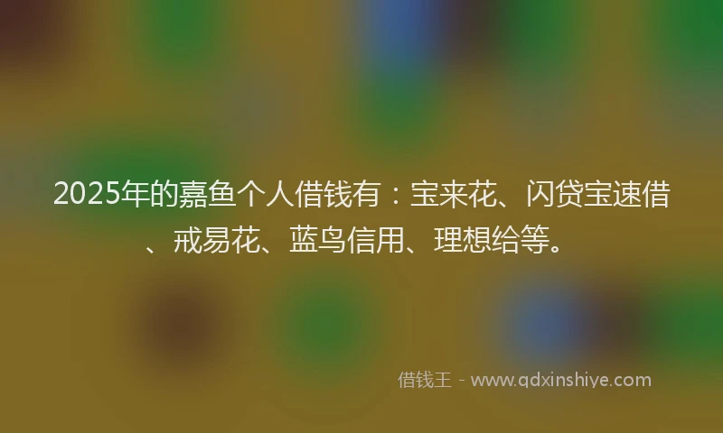 2025年的嘉鱼个人借钱有：宝来花、闪贷宝速借、戒易花、蓝鸟信用、理想给等。