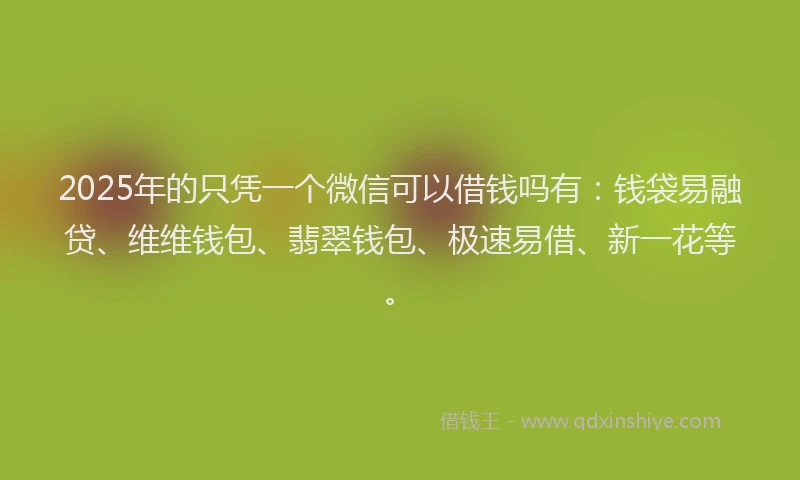 2025年的只凭一个微信可以借钱吗有：钱袋易融贷、维维钱包、翡翠钱包、极速易借、新一花等。