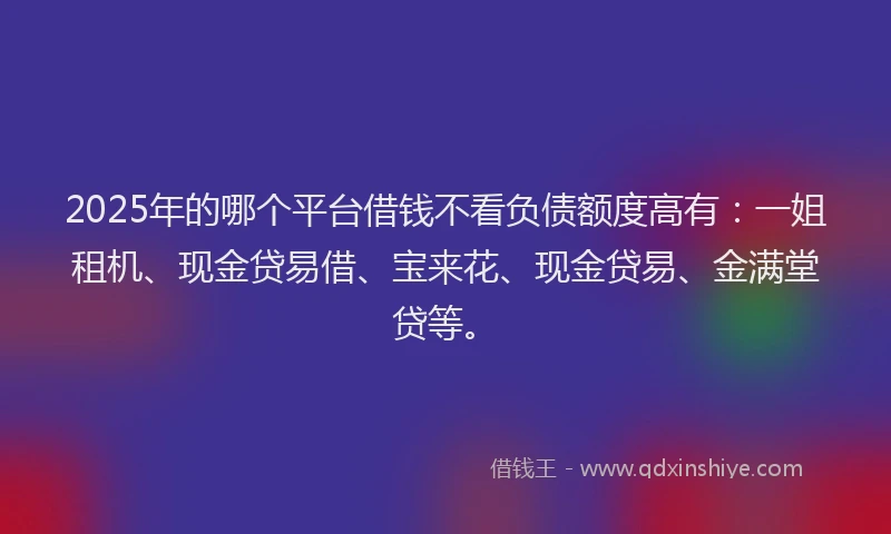 2025年的哪个平台借钱不看负债额度高有：一姐租机、现金贷易借、宝来花、现金贷易、金满堂贷等。