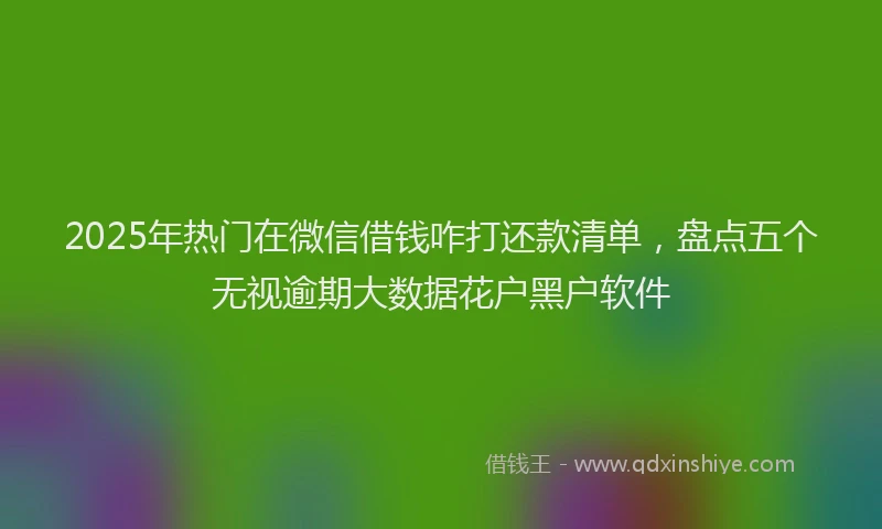 2025年热门在微信借钱咋打还款清单，盘点五个无视逾期大数据花户黑户软件