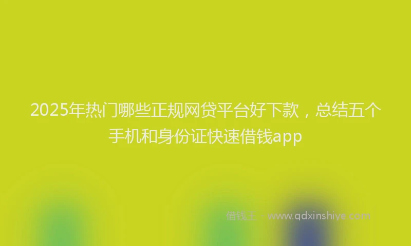 2025年热门哪些正规网贷平台好下款，总结五个手机和身份证快速借钱app