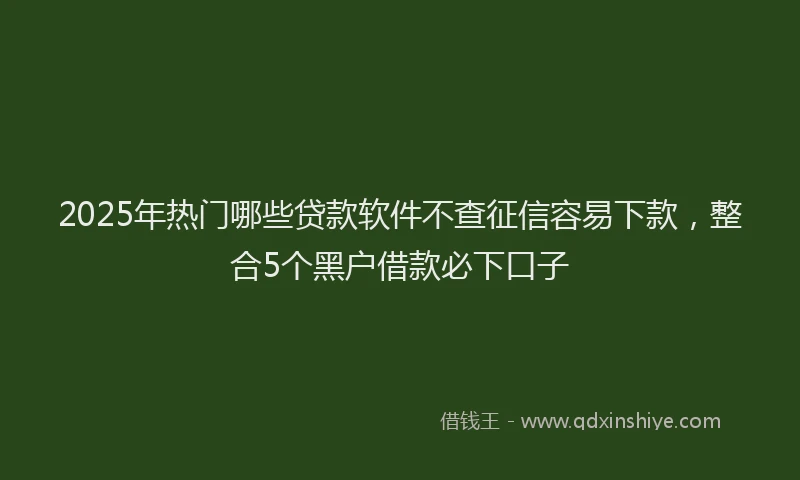 2025年热门哪些贷款软件不查征信容易下款，整合5个黑户借款必下口子