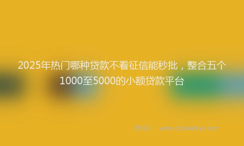 2025年热门哪种贷款不看征信能秒批，整合五个1000至5000的小额贷款平台