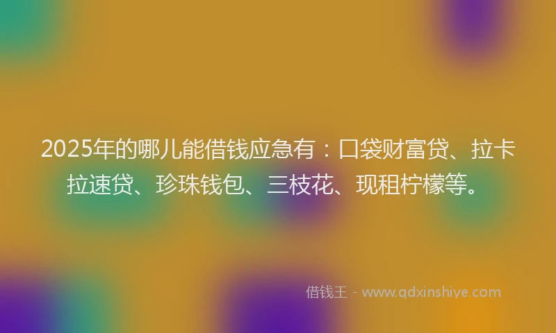 2025年的哪儿能借钱应急有：口袋财富贷、拉卡拉速贷、珍珠钱包、三枝花、现租柠檬等。