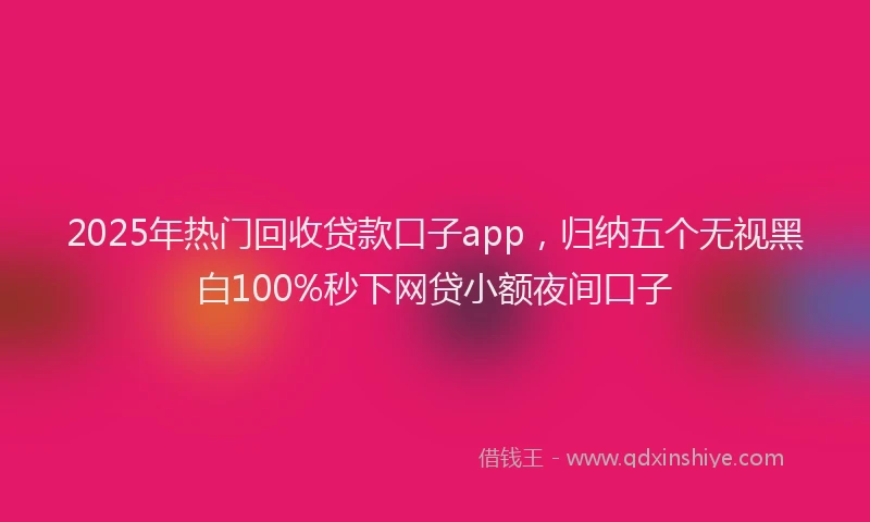 2025年热门回收贷款口子app，归纳五个无视黑白100%秒下网贷小额夜间口子