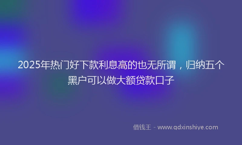 2025年热门好下款利息高的也无所谓，归纳五个黑户可以做大额贷款口子