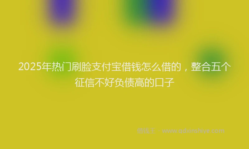 2025年热门刷脸支付宝借钱怎么借的，整合五个征信不好负债高的口子