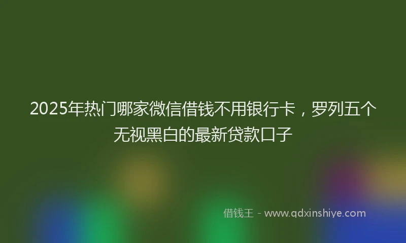 2025年热门哪家微信借钱不用银行卡，罗列五个无视黑白的最新贷款口子