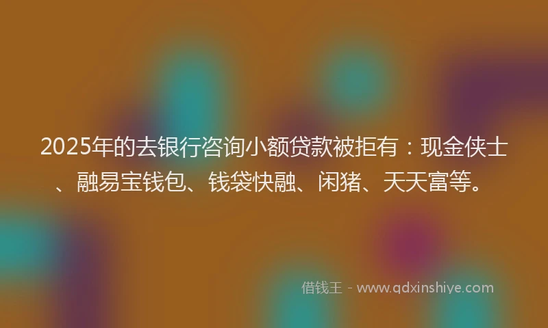 2025年的去银行咨询小额贷款被拒有：现金侠士、融易宝钱包、钱袋快融、闲猪、天天富等。