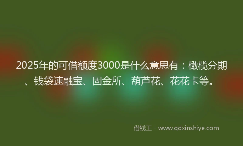 2025年的可借额度3000是什么意思有：橄榄分期、钱袋速融宝、固金所、葫芦花、花花卡等。