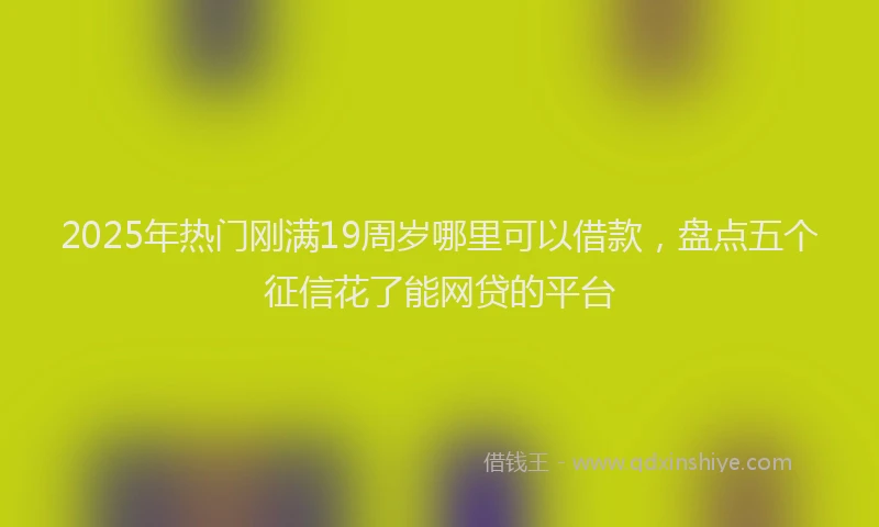 2025年热门刚满19周岁哪里可以借款，盘点五个征信花了能网贷的平台