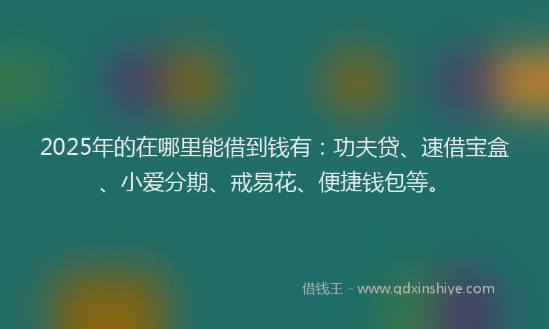 2025年的在哪里能借到钱有：功夫贷、速借宝盒、小爱分期、戒易花、便捷钱包等。