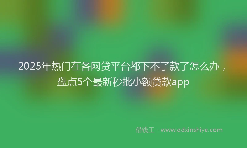 2025年热门在各网贷平台都下不了款了怎么办，盘点5个最新秒批小额贷款app