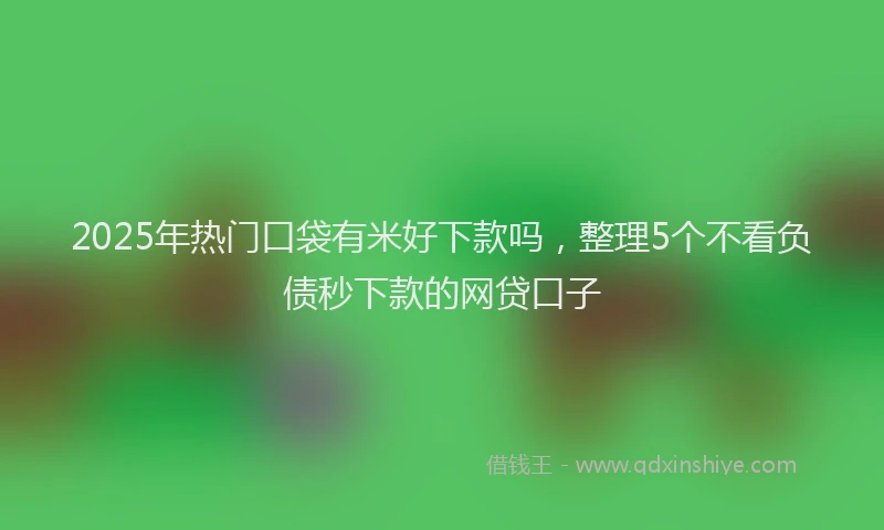 2025年热门口袋有米好下款吗，整理5个不看负债秒下款的网贷口子