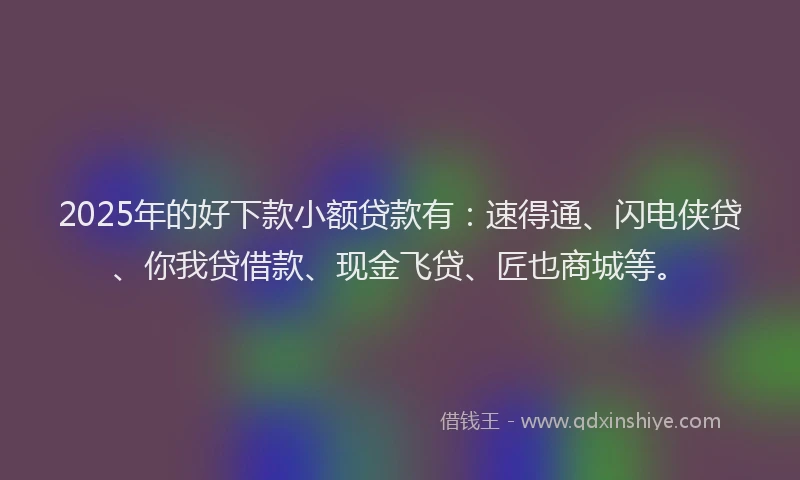 2025年的好下款小额贷款有：速得通、闪电侠贷、你我贷借款、现金飞贷、匠也商城等。