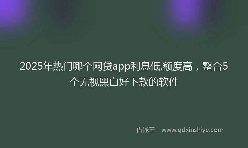 2025年热门哪个网贷app利息低,额度高，整合5个无视黑白好下款的软件