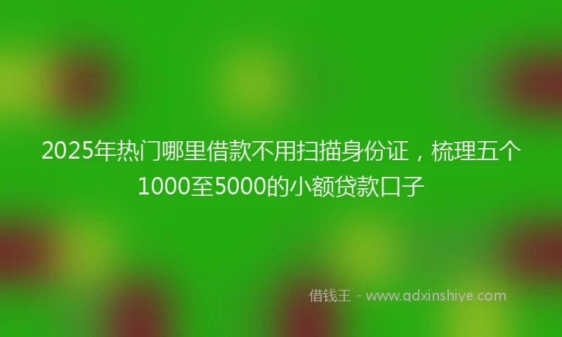 2025年热门哪里借款不用扫描身份证，梳理五个1000至5000的小额贷款口子