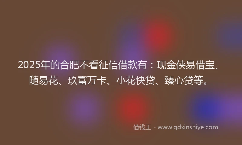 2025年的合肥不看征信借款有：现金侠易借宝、随易花、玖富万卡、小花快贷、臻心贷等。