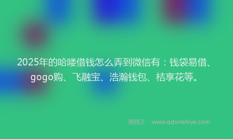 2025年的哈喽借钱怎么弄到微信有：钱袋易借、gogo购、飞融宝、浩瀚钱包、桔享花等。