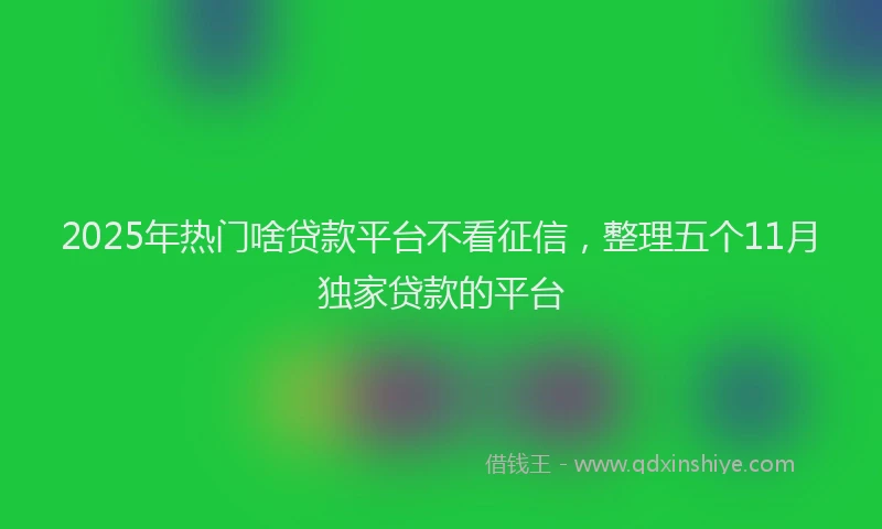 2025年热门啥贷款平台不看征信，整理五个11月独家贷款的平台