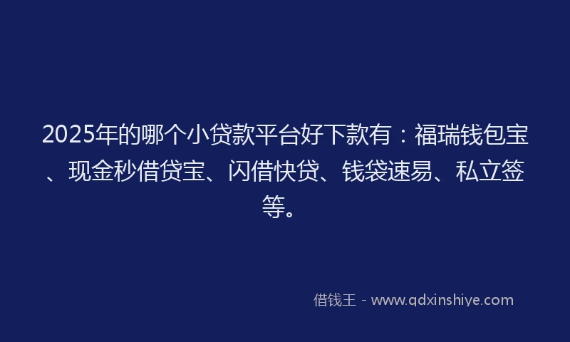 2025年的哪个小贷款平台好下款有：福瑞钱包宝、现金秒借贷宝、闪借快贷、钱袋速易、私立签等。