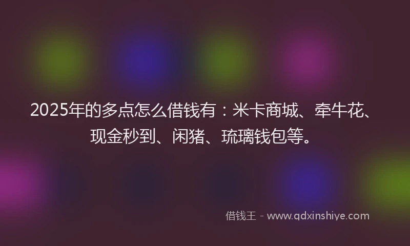 2025年的多点怎么借钱有：米卡商城、牵牛花、现金秒到、闲猪、琉璃钱包等。