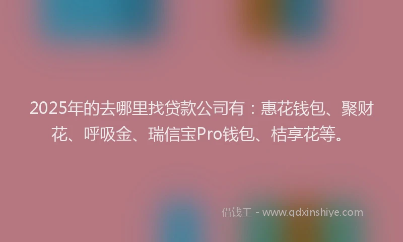 2025年的去哪里找贷款公司有：惠花钱包、聚财花、呼吸金、瑞信宝Pro钱包、桔享花等。